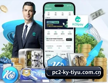 开云体育下载 APP 深度功能
